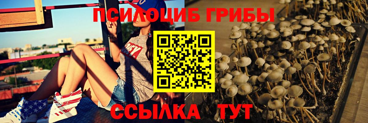 Дзержинский  Галлюциногенные грибы прущие грибы  Вход с VPN 